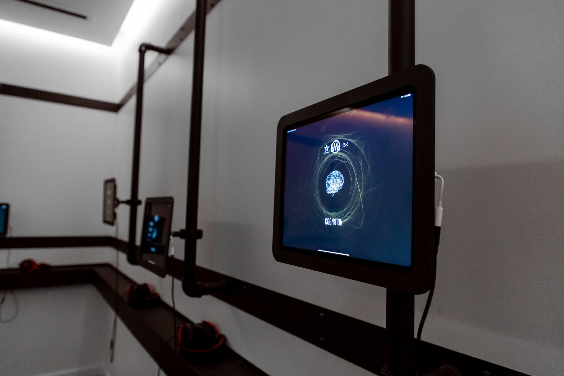 Cognition Lab
